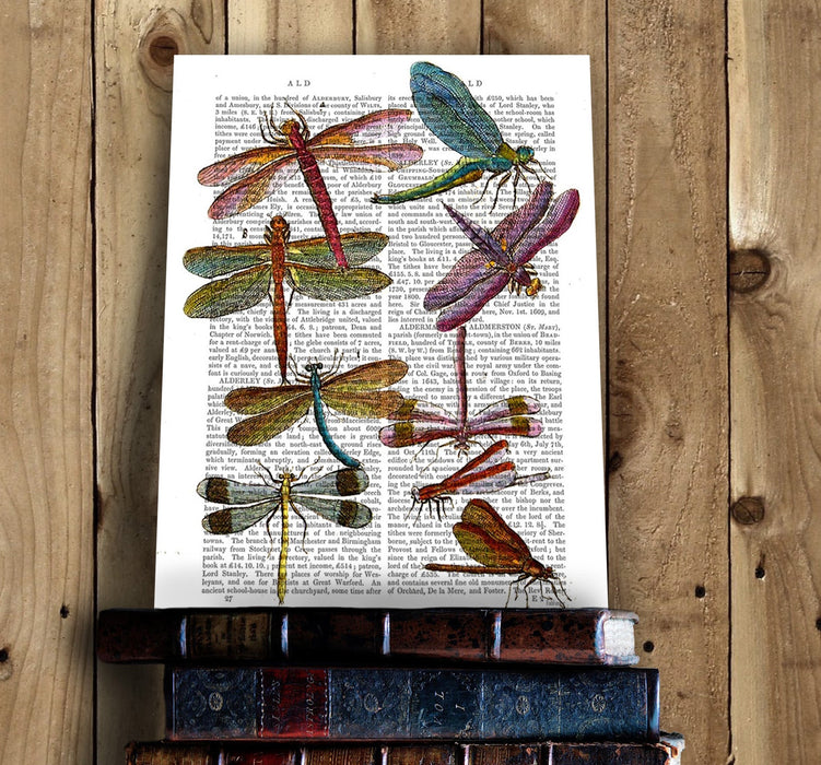 Dragonfly Print 3, Book Print, Art Print, Wall Art