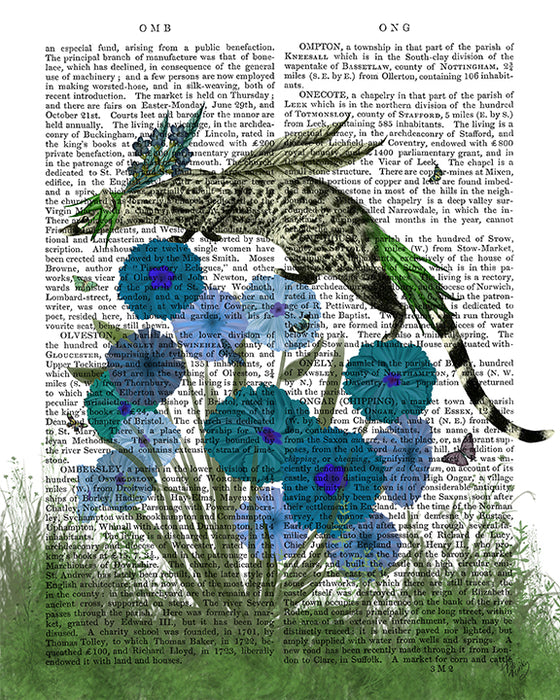 African Genet On Blue Flowers, Book Print, Art Print, Wall Art