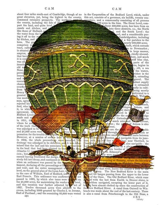 Vintage Hot Air Balloon, Green with flags, Book Print, Art Print, Wall Art