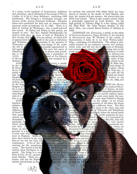 Boston Terrier Rose on Head Dog  Book Print, Art Print, Wall Art