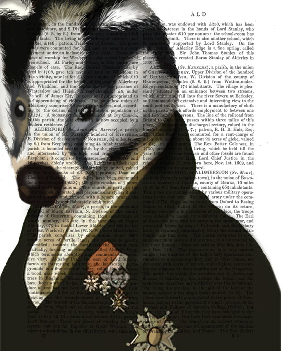 Badger The hero Portrait Book Print, Art Print, Wall Art