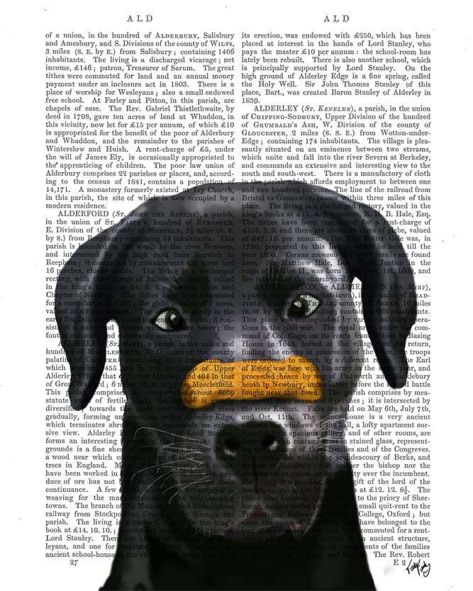 Black Labrador with Bone on Nose Dog Book Print, Art Print, Wall Art ...