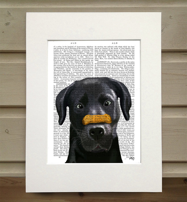 Black Labrador with Bone on Nose Dog Book Print, Art Print, Wall Art