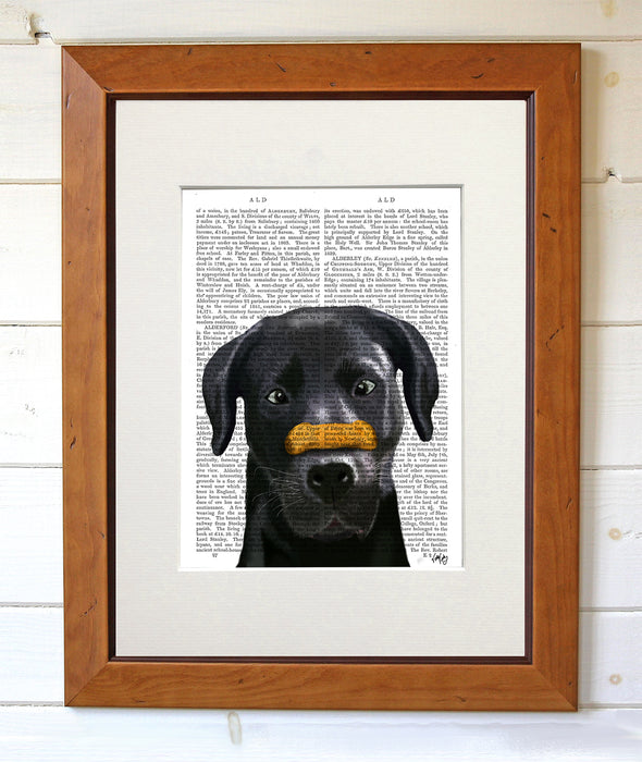 Black Labrador with Bone on Nose Dog Book Print, Art Print, Wall Art