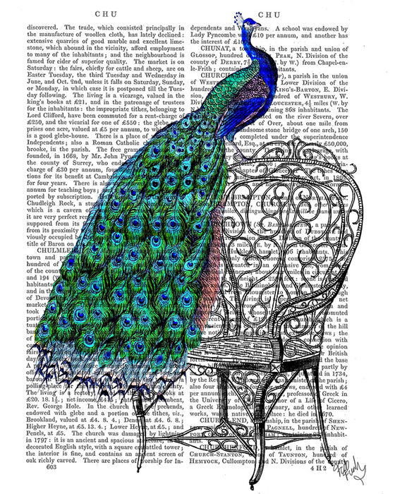 Peacock on Vintage Garden Chair, Book Print, Art Print, Wall Art