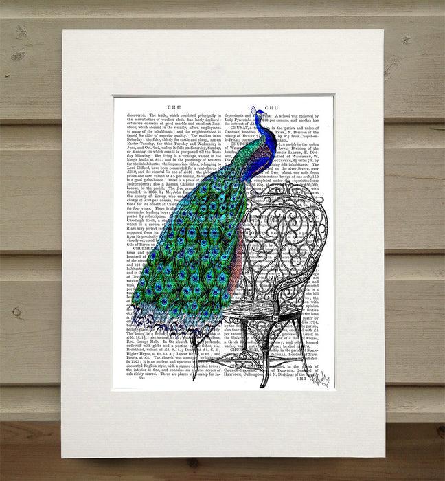 Peacock on Vintage Garden Chair, Book Print, Art Print, Wall Art