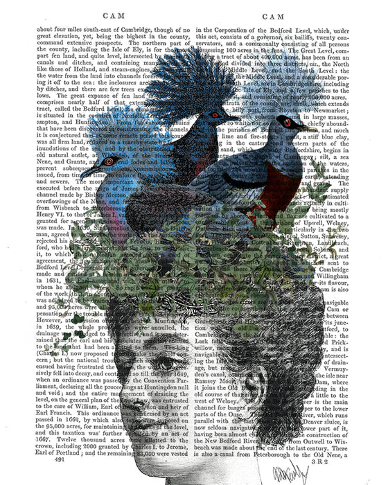 Victorian Woman with Blue Birds On Head, Book Print, Art Print, Wall Art