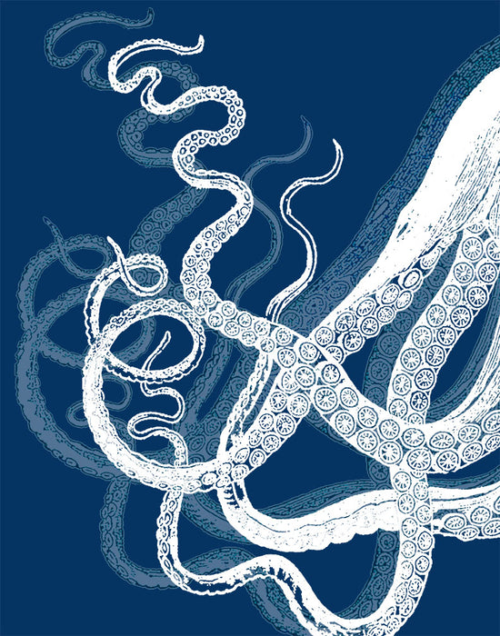 Octopus Tentacles, White on Seafoam, Mustard or Navy Blue, Nautical print, Coastal art