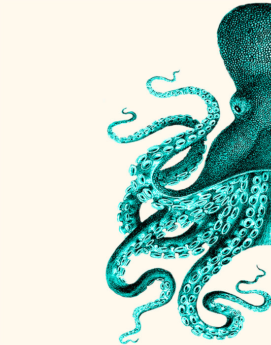 Octopus Half Blue or Green, Nautical print, Coastal art