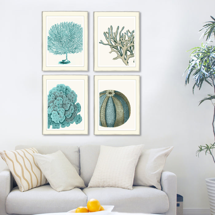 Collection - 4 Prints, Blue Corals and Sea Urchins Coastal Print Canvas Art