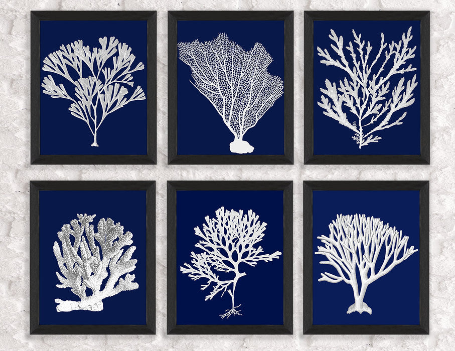 Collection - 6 Prints, Blue Corals 3 Coastal Botanical Print Canvas Art