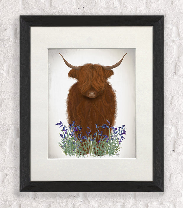 Highland Cow, Bluebell, Animal Art Print