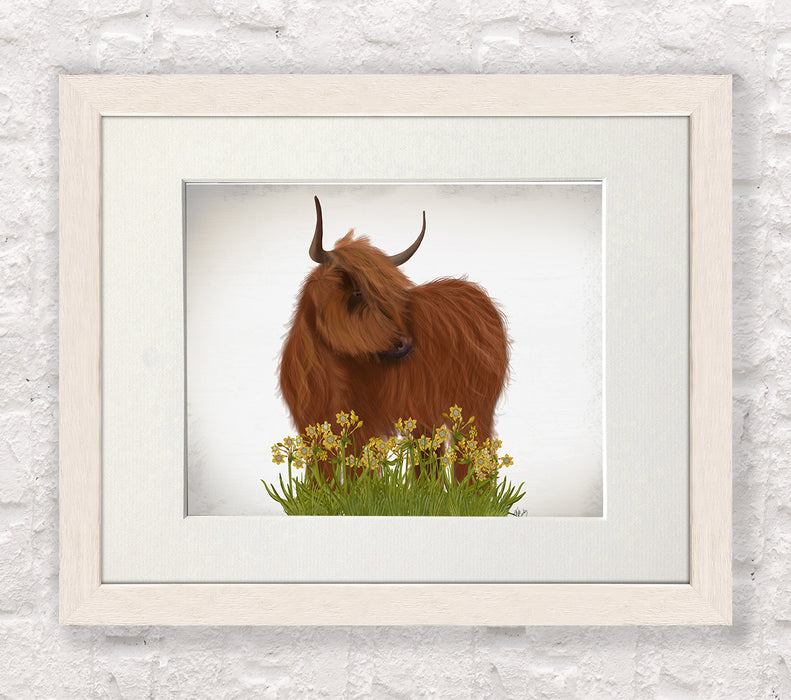Highland Cow, Daffodil, Animal Art Print
