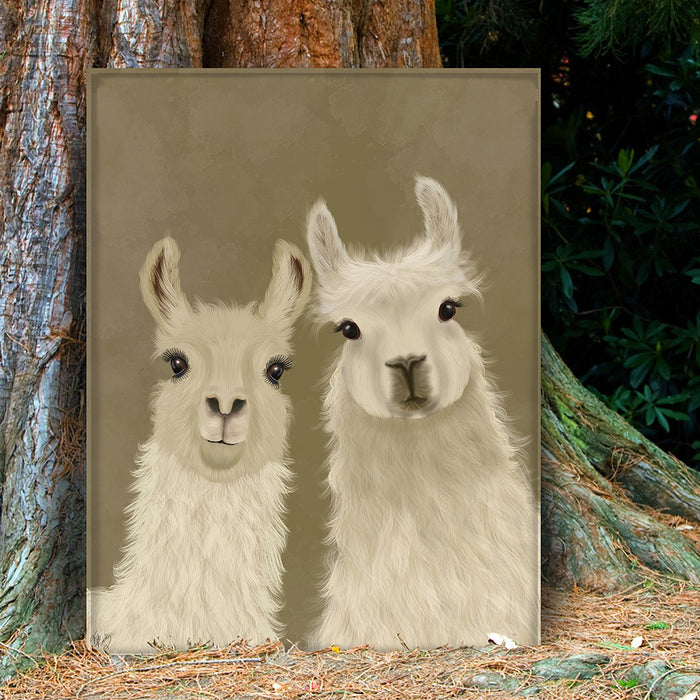 Llama Duo, Looking at You, Art Print, Canvas Wall Art