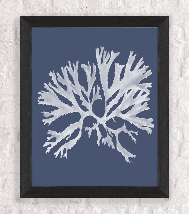 Coral 18 Blue White or Green, Nautical print, Coastal art