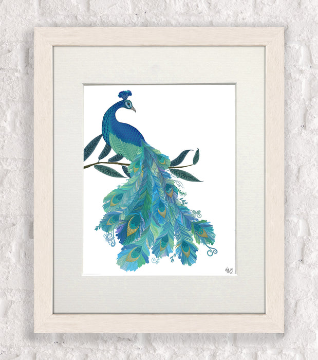 Peacock with Doodle Tail on White , Art Print, Wall Art