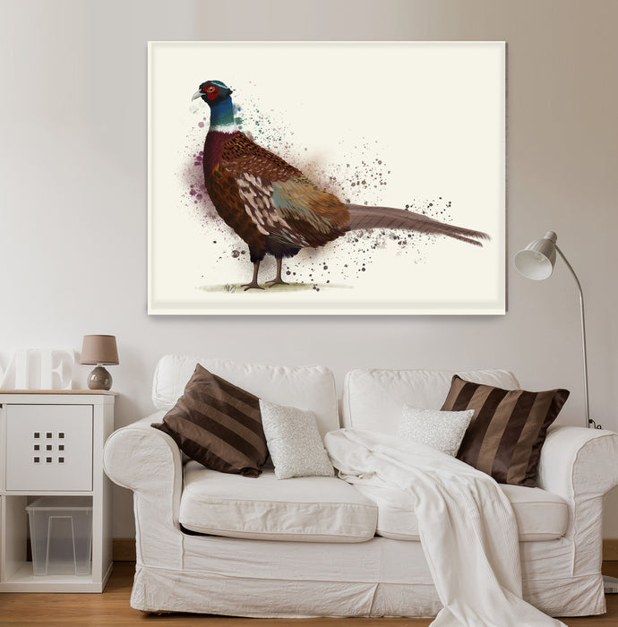 Pheasant Splash 1, Art Print, Canvas, Wall Art