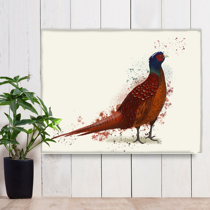 Pheasant Splash 4, Art Print, Canvas, Wall Art