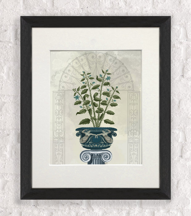 Classsical Botanicals 6, Art Print, Canvas Wall Art