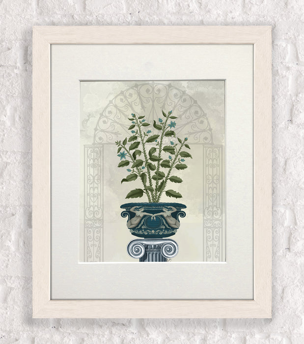 Classsical Botanicals 6, Art Print, Canvas Wall Art