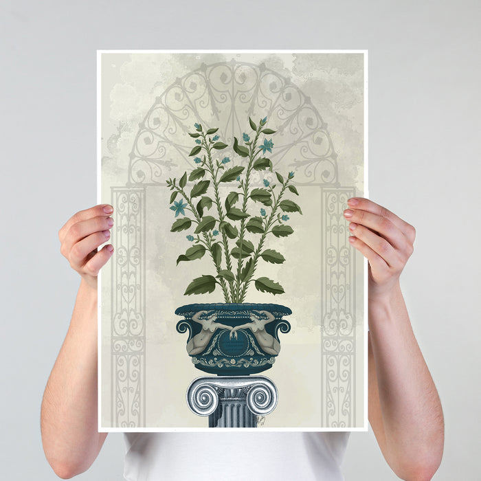 Classsical Botanicals 6, Art Print, Canvas Wall Art