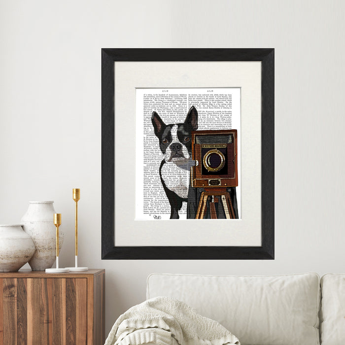 Boston Terrier Photographer Dog  Book Print, Art Print, Wall Art
