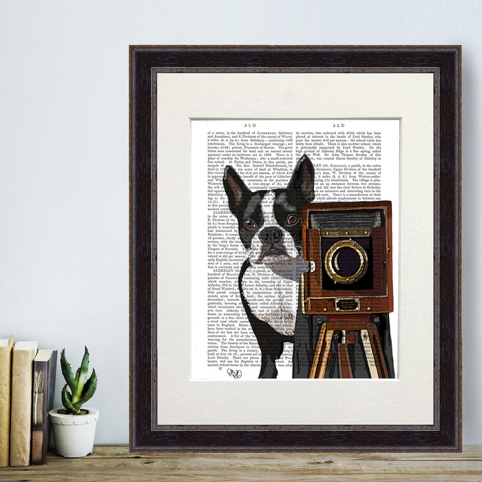 Boston Terrier Photographer Dog  Book Print, Art Print, Wall Art