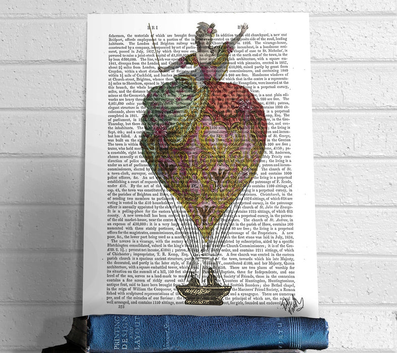 18th Century Hot Air Balloon Woman 3, Book Print, Art Print, Wall Art
