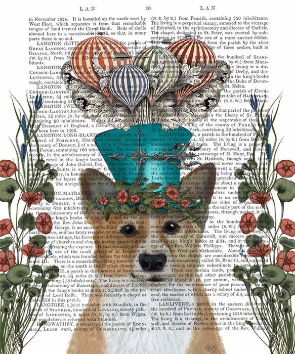 Corgi Milliners Dog Book Print, Art Print, Wall Art