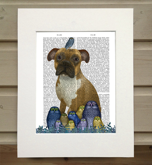 Boxer & Owls Dog Book Print, Art Print, Wall Art