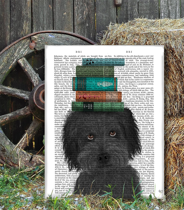 Labradoodle Black & Books Dog Book Print, Art Print, Wall Art