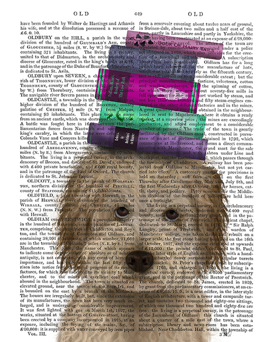 Labradoodle Cream & Books Dog Book Print, Art Print, Wall Art
