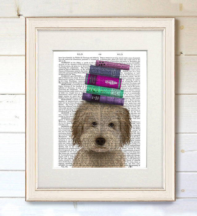 Labradoodle Cream & Books Dog Book Print, Art Print, Wall Art