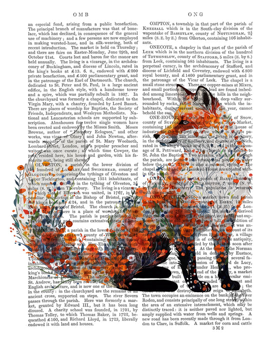 Floralessence Fox 1, Book Print, Art Print, Wall Art