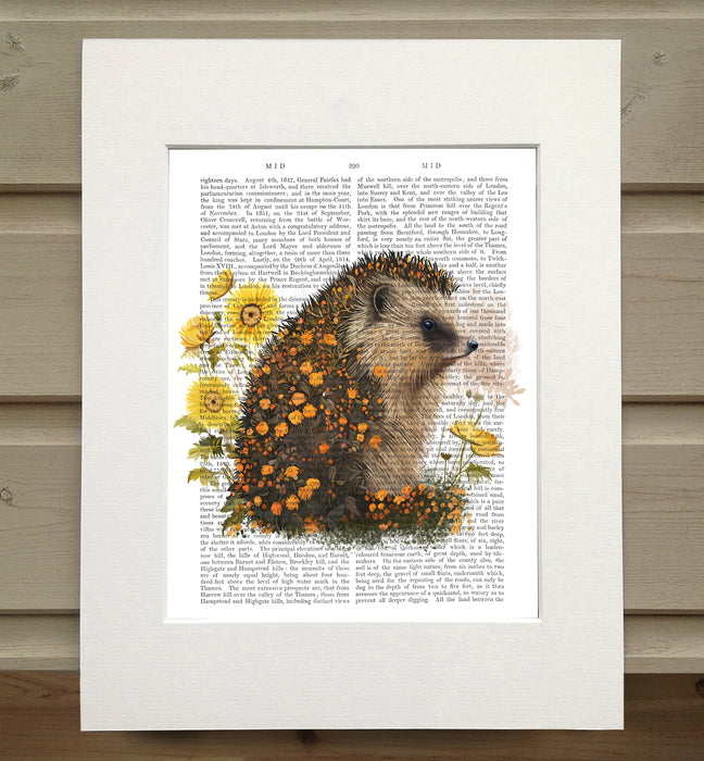 Floralessence Hedgehog 1, Book Print, Art Print, Wall Art