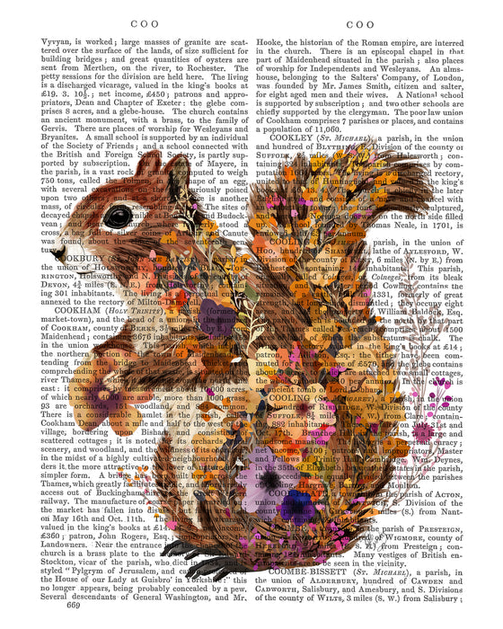 Floralessence Squirrel 1, Book Print, Art Print, Wall Art