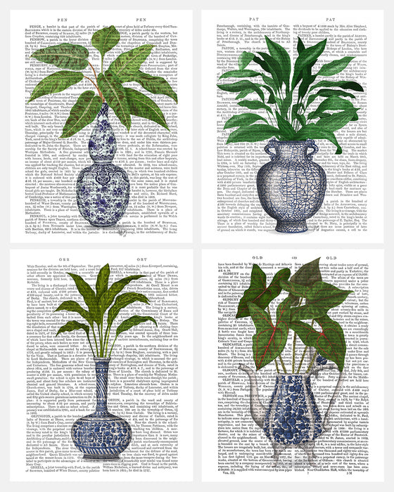 Chinoiserie Vase & Plant Collection 1 Gallery Set of 4 Book Art Print Canvas