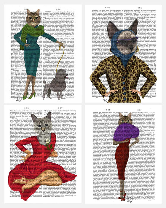 Collection, Crazy Cat Lady Gallery Set 4 Book Prints, Art Print, Canvas Art