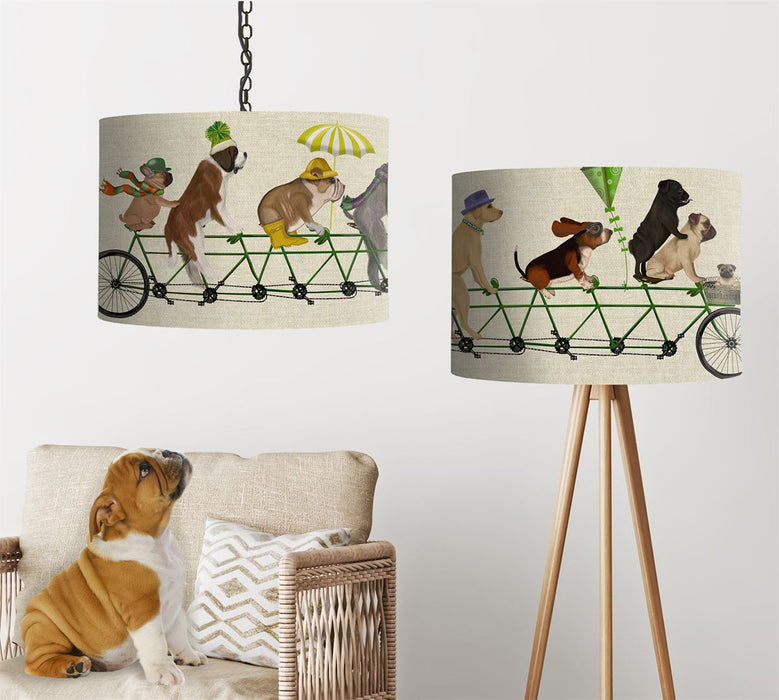 Mutley Crew on Tandem, Lampshade