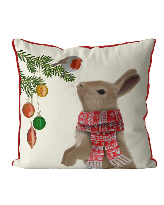 Rabbit and Robin, Christmas Cushion / Throw Pillow
