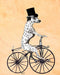 Dalmatian On Bicycle, Dog Art Print, Wall art | FabFunky