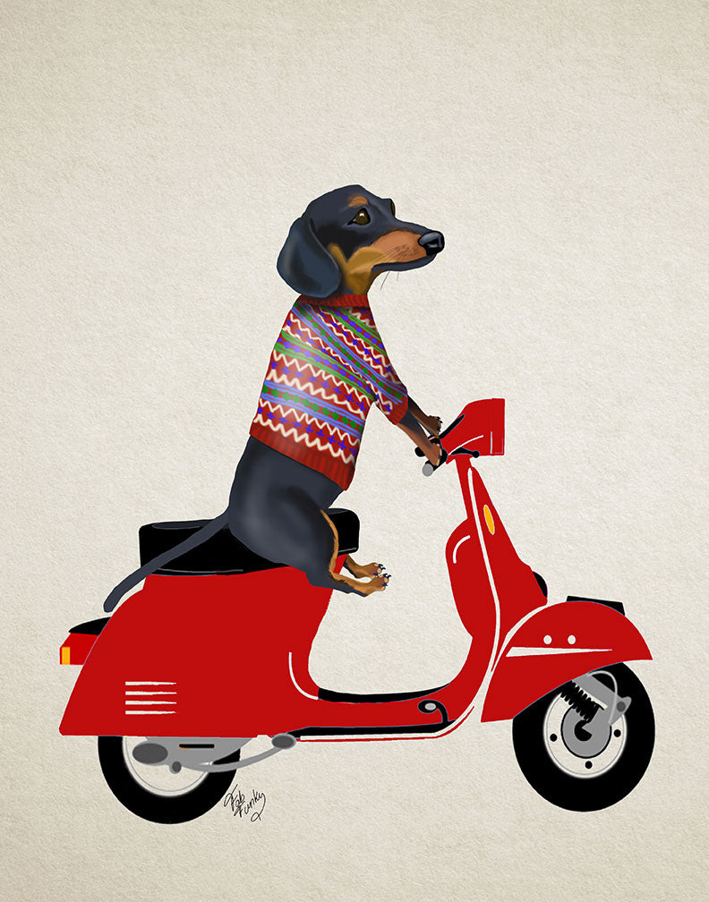 Dog Riding Scooter