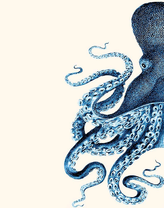 Octopus Blue Half