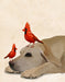 Labrador with Red Birds, Dog Art Print, Wall art | FabFunky