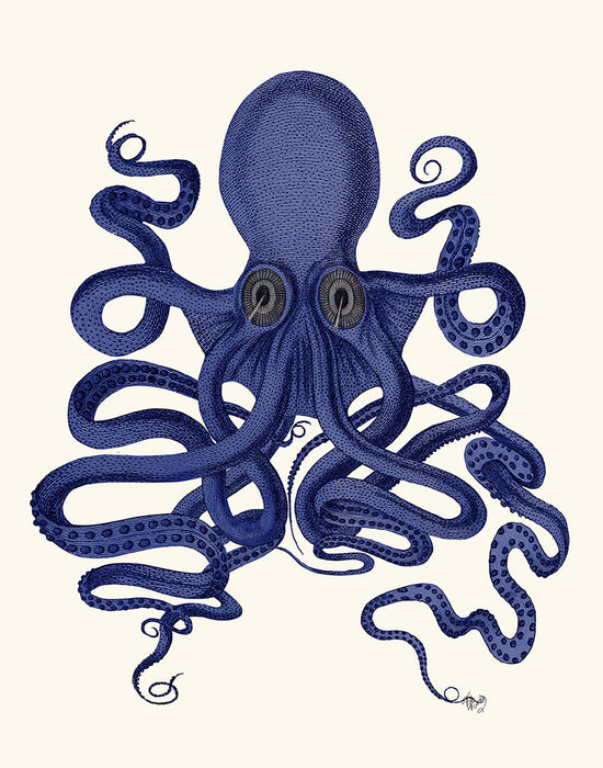 Octopus 9