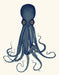 Octopus 8