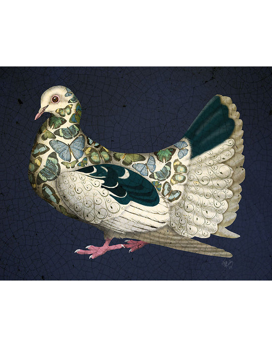 Butterfly Dove, Bird Art Print, Wall Art | FabFunky