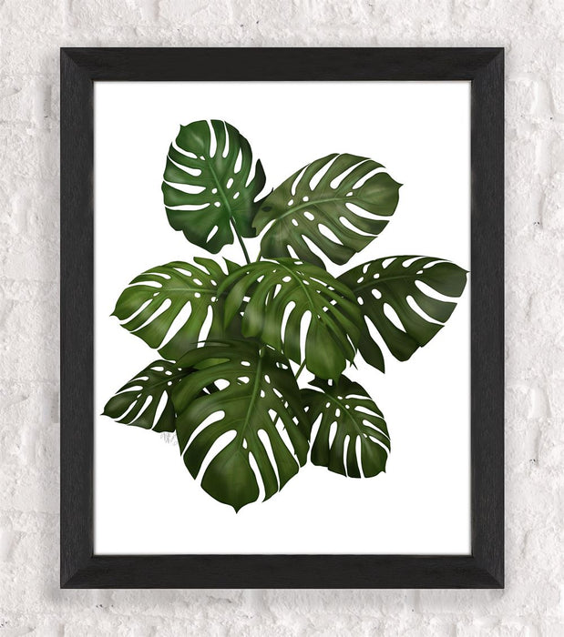 Monstera Plant, Green on White, Botanical art print, Wall art