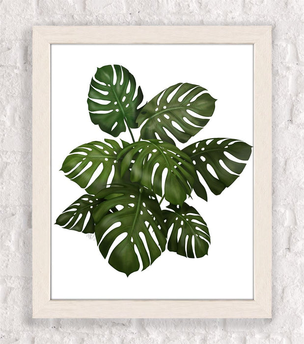 Monstera Plant, Green on White, Botanical art print, Wall art