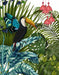 Toucan in Tropical Forest, Bird Art Print, Wall Art | FabFunky